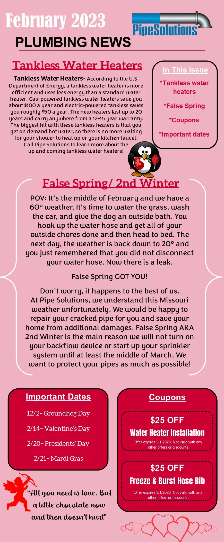 February Plumbing newsletter. pipe solutions. plumbing news